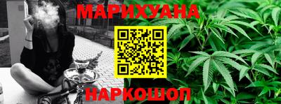 шишки Краснодар