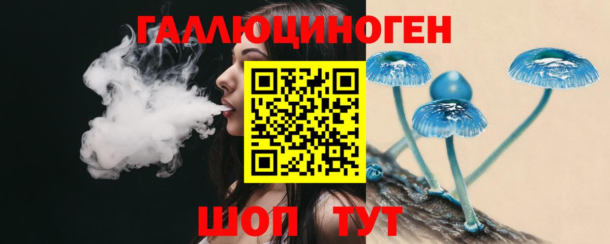 Калининград  купить закладку  Галлюциногенные грибы Magic Shrooms  Вход с VPN  Псилоцибиновые грибы Magic Shrooms 